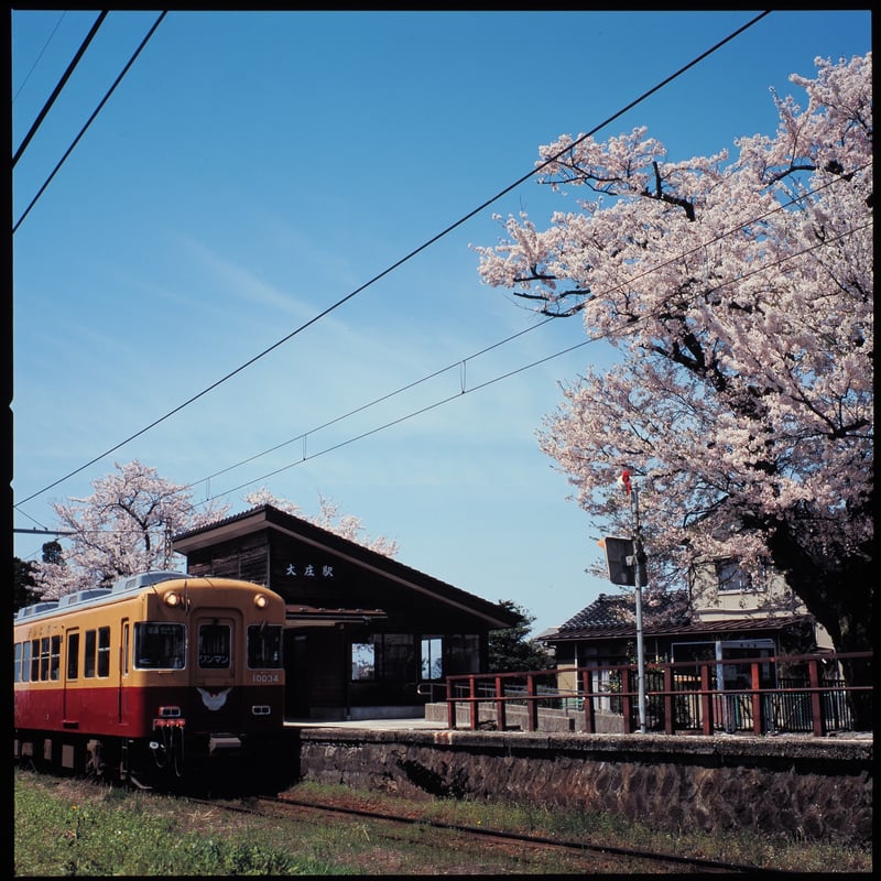 満開の小駅