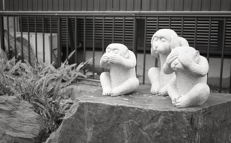 Leica IIIb + Leica Elmar L50mm F3.5 + FUJIFILM Neopan professional Acros 100