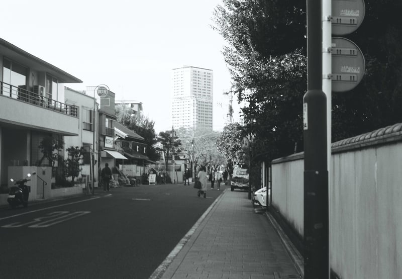 谷中は、学生時代の定期圏内にあり、街の雰囲気と下町人情溢れる世界観が非常に好きだ。
とくに谷中霊園付近は、季節折々違った景色を見せてくれるのが大好きである。