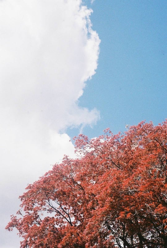 晴れたと思ったらすぐ下り坂な秋🍂