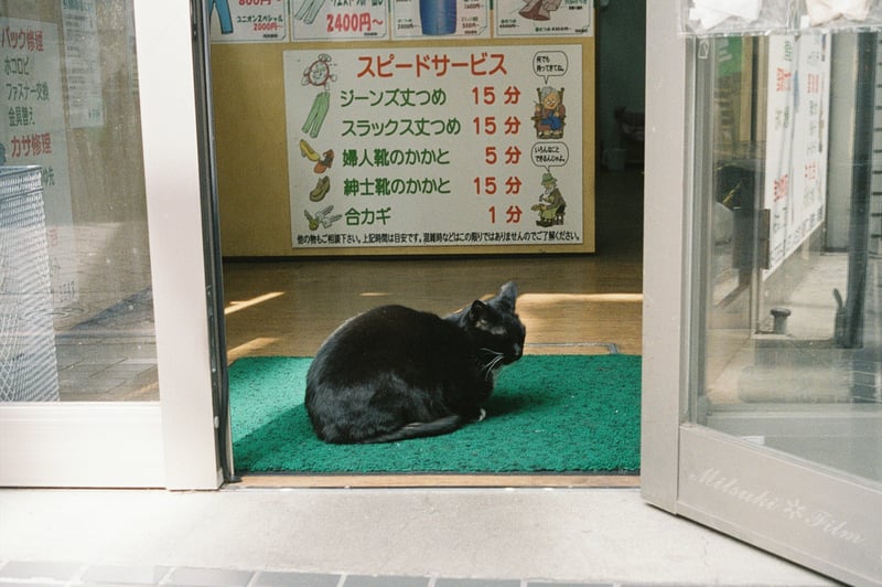 猫吸い　　　1分