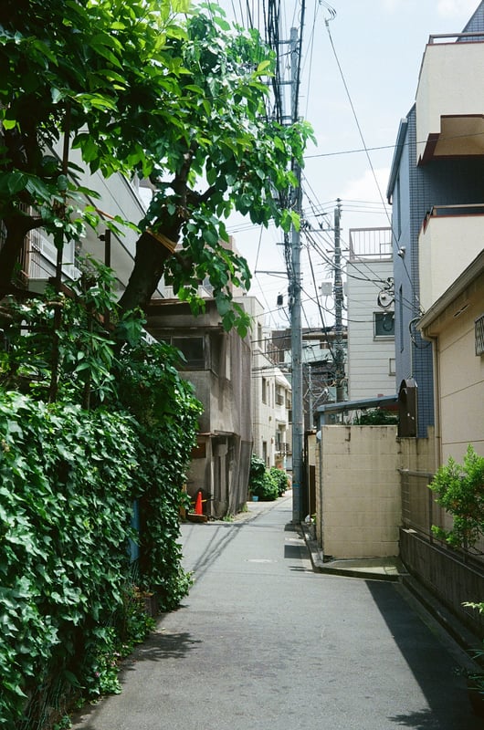 新宿って繁華街や副都心のイメージ強いですが、意外と住宅街の裏路地とかいいです(語彙力)