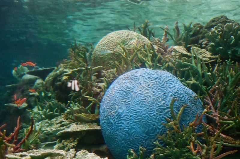 名古屋港水族館🐠