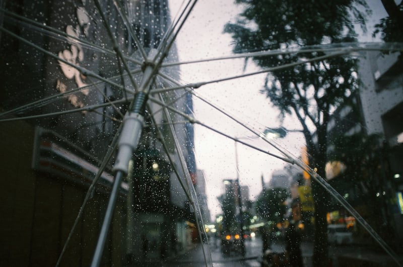 雨らしい表現にフィルムカメラでチャレンジしてみました
フィルム写真×雨は相性がよくて大好きです👍🏻