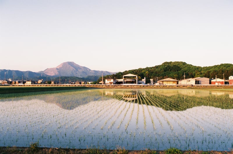 田植えの季節、旅先で山々と町が田んぼに写り、幻想的なひと時でした。