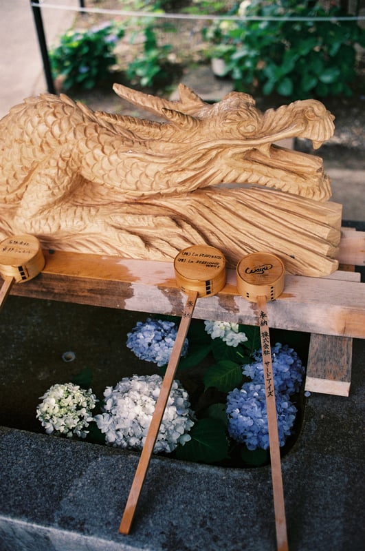 名古屋市の神社で撮影
おしゃれでいい雰囲気でした～