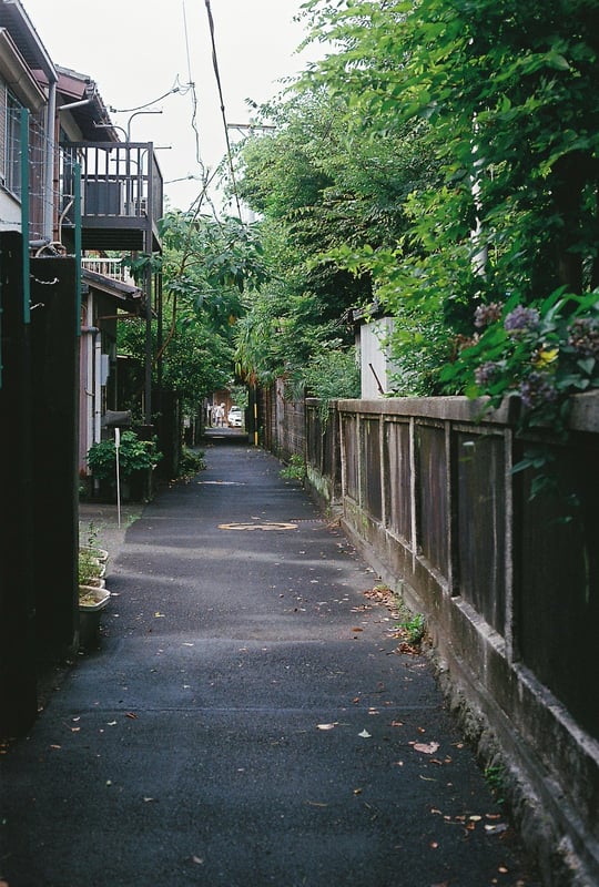 雨上がりの散策