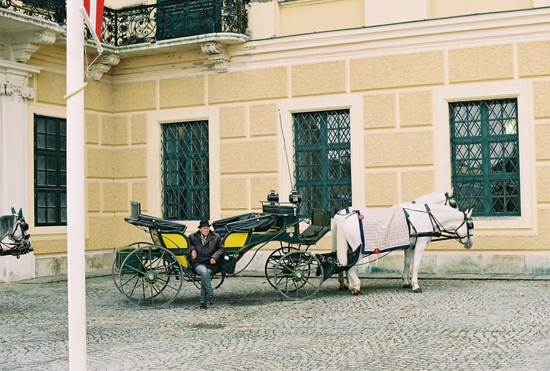 ウィーン・シェーンブルン宮殿にて。
馬車と御者。