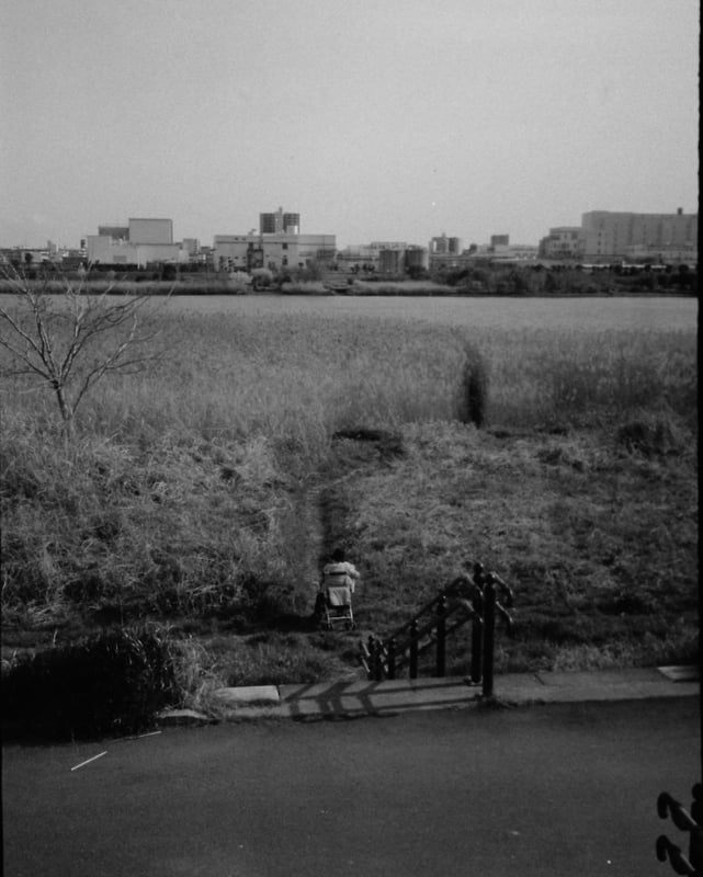 ずっと対岸を見つめていました。
おばあさんは何を考えているのか。