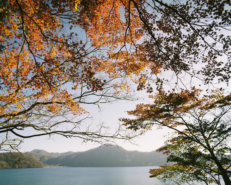 山の方だとそろそろ紅葉の時期か…
撮影:2024年11月