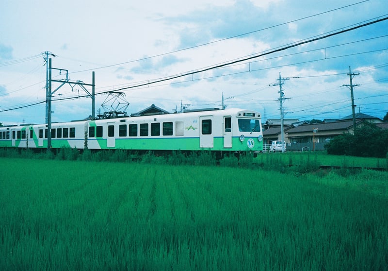 田園が青々しい時期になりましたね。