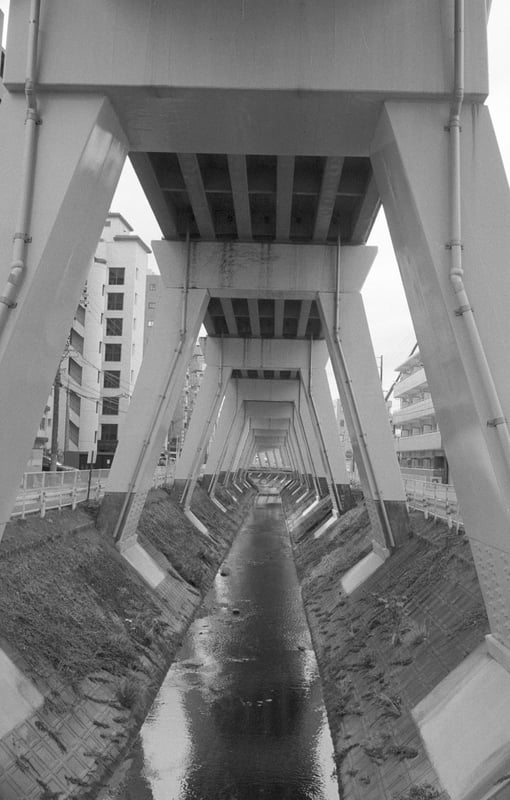 連なる柱が神殿を連想させる。