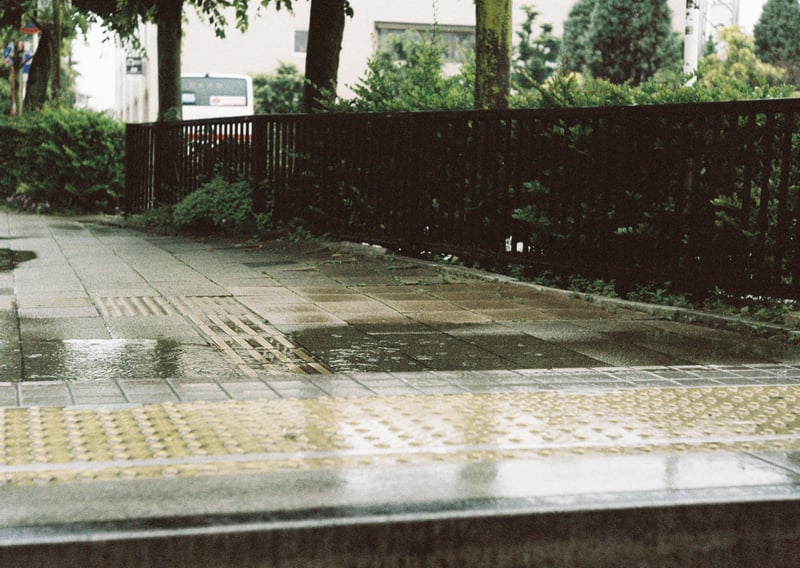 「こうも連日、雨だと気が参っちゃうよ。」