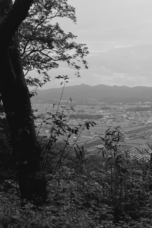 栃木の地を望む