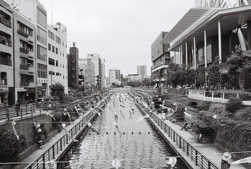 東京スカイツリー
鯉のぼりの時期2024