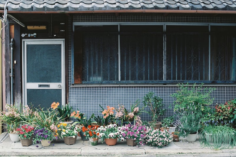 京都さんぽ