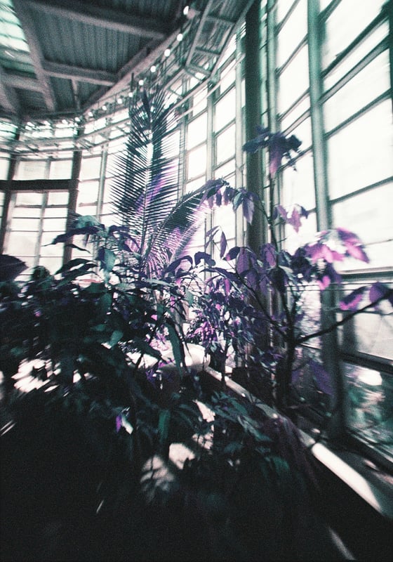 LomoChrome Purple
LC-Wide