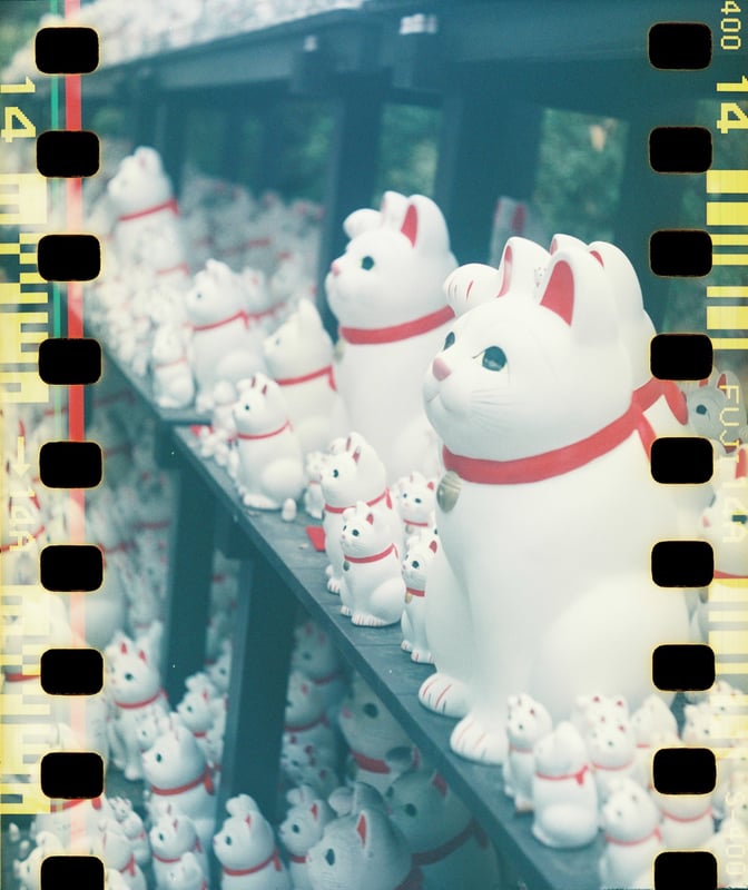 カメラ：YASHICA４４
フィルム：FUJICOLOR SUPERIA400（2004.11期限切れ）

豪徳寺にて
YASHICA44はベスト判カメラ