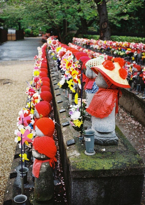 増上寺を訪れると撮ってしまいますね
三解脱門の工事に伴って臨時に移設されてるらしく、1/3位に減ってました