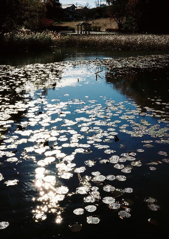 もえぎの公園にて
