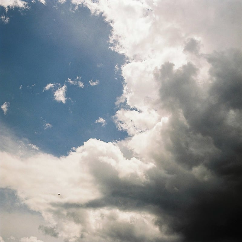 The rain clouds are chasing a bird