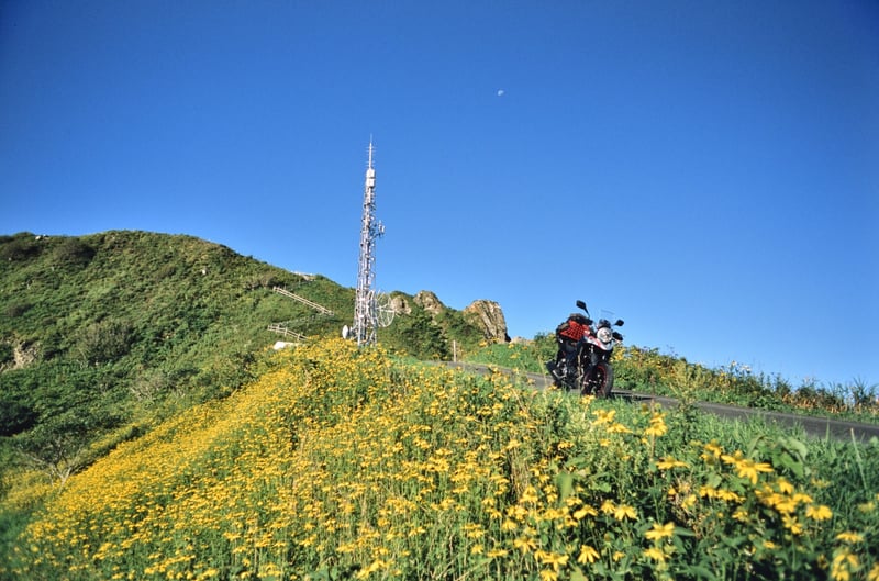 咲き乱れる野草に冒険心をくすぐる電波塔
探してないけど求めていた気がする風景

この丘の場所はもう忘れてしまった

何もないと歌われた岬に向かう道の途中のどこか