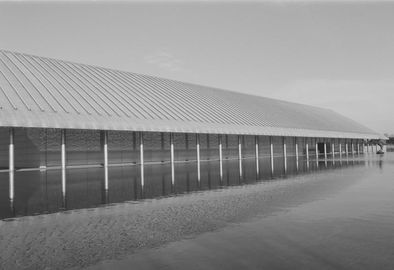 Olympus OM2000 CARL ZEISS JENA 28mm F2.8 MC ORIENTAL NEW SEAGULL 100 1/2減感 ISO50