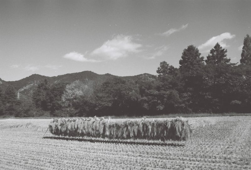 Olympus OM2000 CARL ZEISS JENA 28mm F2.8 MC FUJIFILM Neopan ACROS2 チャンプカメラ