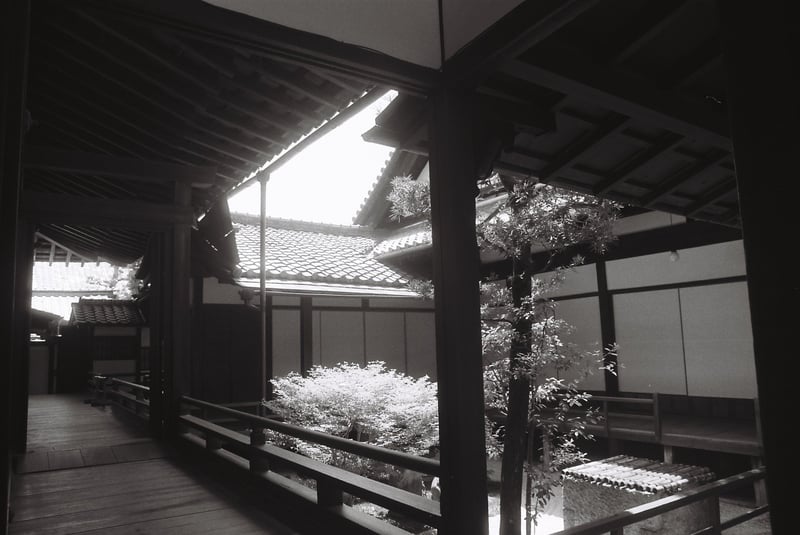 OLYMPUS OM-1 レンズは忘れた(^_^);; Kentmere 100 チャンプカメラ KYOTOGAPHIE 両足院（建仁寺山内） 奈良原一高 ジャパネスク 〈禅〉
たぶん、初めてKENTMERE 100を使った。