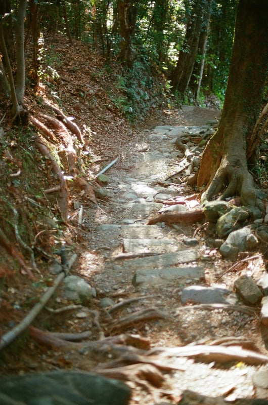 本宮大社の中に残っている熊野古道の跡。100mほどなので体験版のようなものです。