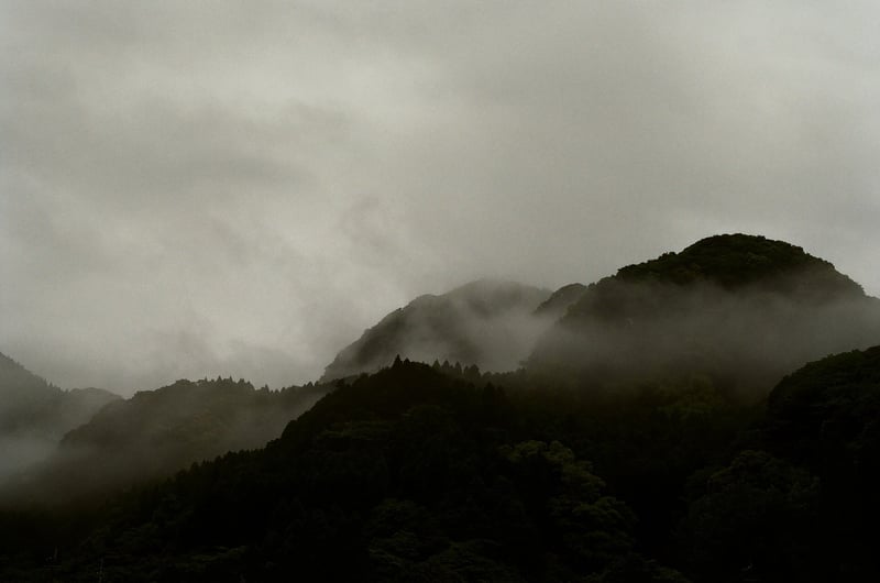 鹿児島旅行で皆が黒酢の壺に夢中な中一人裏山の写真を撮っていたら怪訝そうな顔をされました。普通壺を撮りますよね笑