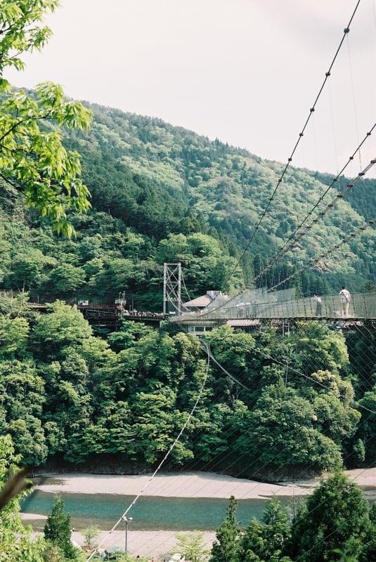 日本一の吊り橋、ではないけど日本一やと思ってる。日本一にしようとしたのではなく実用の結果日本一になったというのがいい。歩く人が多すぎてすごい揺れます。高いところが怖い人を見ていると面白いです。