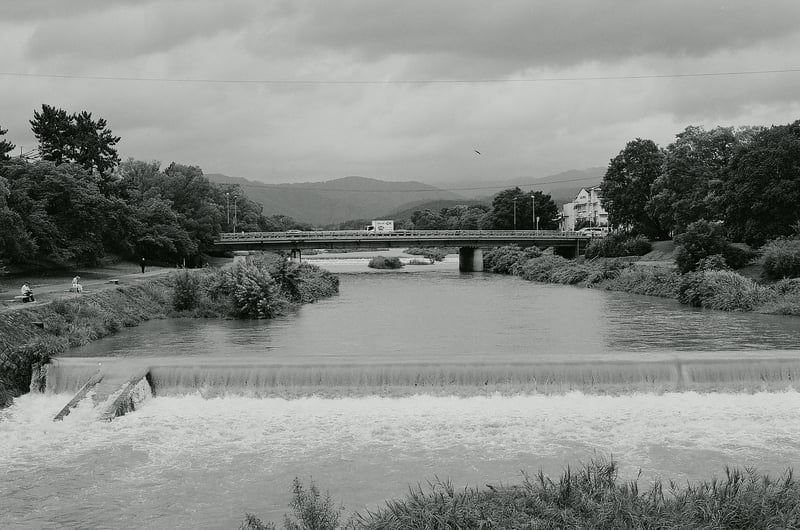 大雨の後なので鴨川が増水していました。