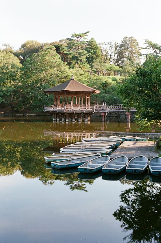 昼間は暑すぎるので早朝に奈良公園へ写活へ。結局8月は3本しかフィルムを使えませんでした。9月はいっぱい使いたいな