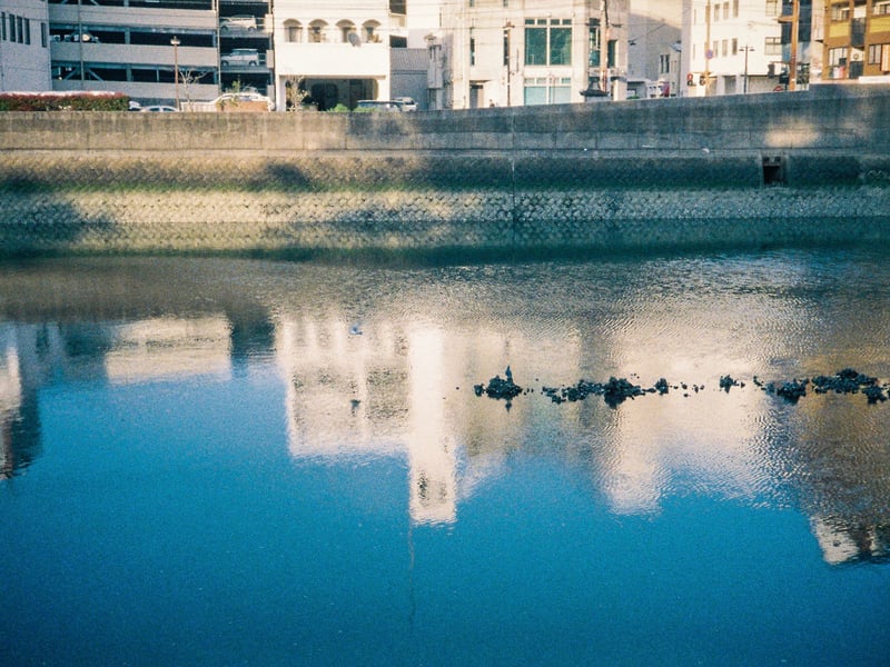 じゃなくて、飛び立った鳩を撮ったつもりでした。
さすがに遠かった。

Rollei A110
Lomography Color Tiger 110