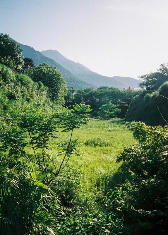 堀にかかる小さな橋の上から撮影。

OLYMPUS PEN EE-2
Fujifilm FUJICOLOR 100