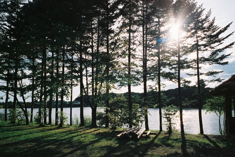 白樺の木の間から差し込む日差し。
北海道の暖かい夏の日の終わります。