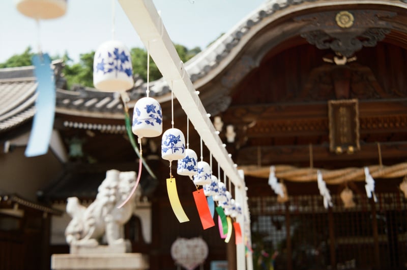 filmで綴る日々:地元の神社にて…