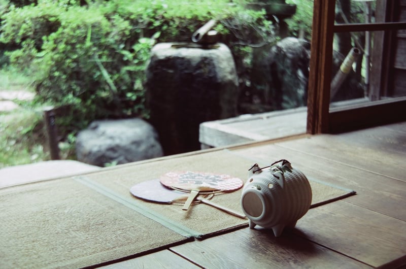 filmで綴る:夏休み寫眞日記

夏休みの最終日は
とてもブルーな気持ちでした^^;💦
毎年夏休みになると
田舎のおじいちゃんやおばあちゃんちに
遊びに行った記憶が懐かしいです(* ´  ` *)ᐝ