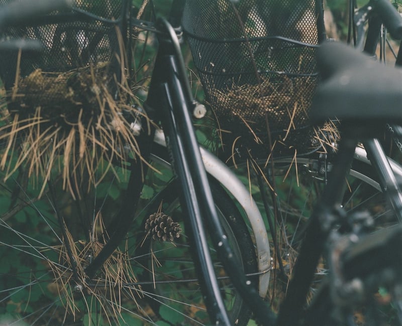 放置自転車で感じる季節