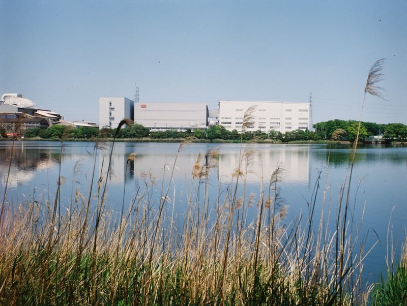 Minolta Semi P
Lomography ColorNegative 400