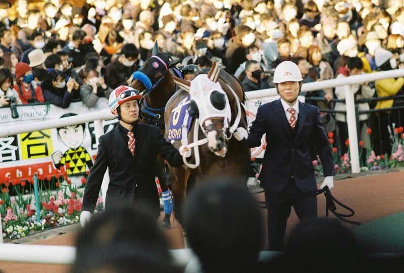 去年の東京大賞典の時に撮ったやつ
まだフィルムカメラを触って日が浅い(確か2回目くらい。自分から触るのは初めてだった気がする)ので設定がよくわからず同行していた友人に弄ってもらって撮ったもの

あまりの精度に合わせた本人が驚いていた