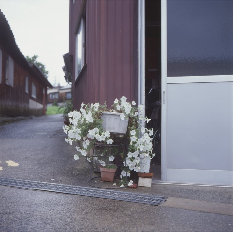 2009年7月25日。
どうやら、実家に帰省していてやることがなく、雨上がりに近所を散歩したらしい。
撮っていなかったら死ぬまで思い出さなかっただろう行動と光景。
写真の意味ってそういうところにある、と思っている。
