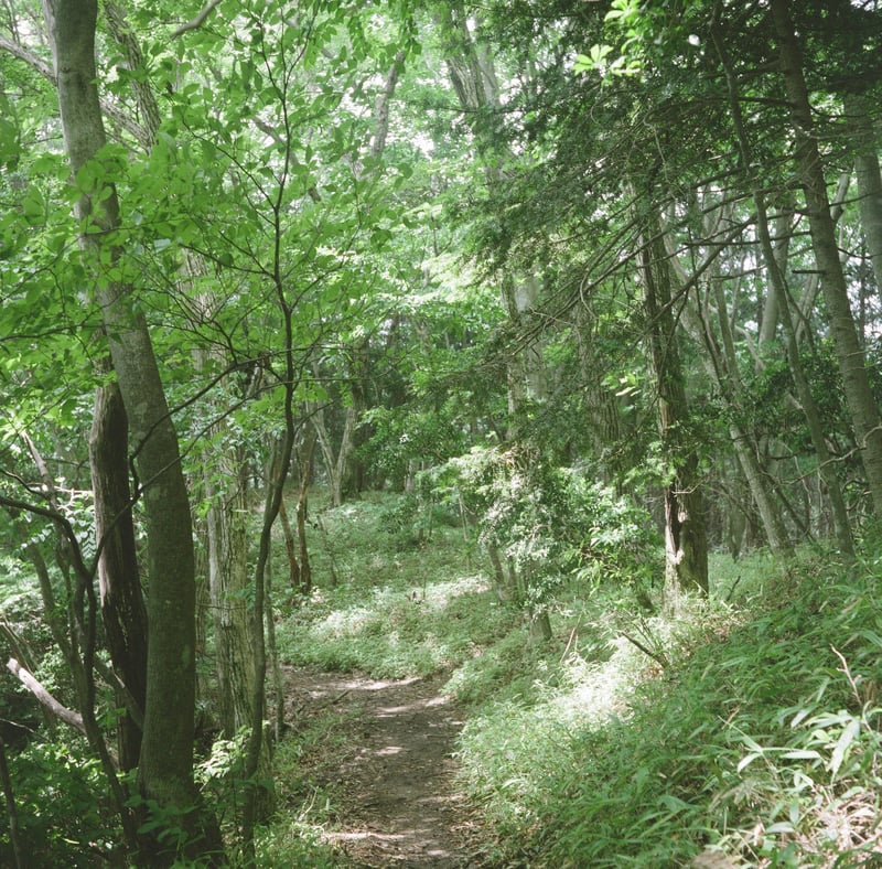 ここ何ヶ月も全然山に行っていない。
山に行きたい。