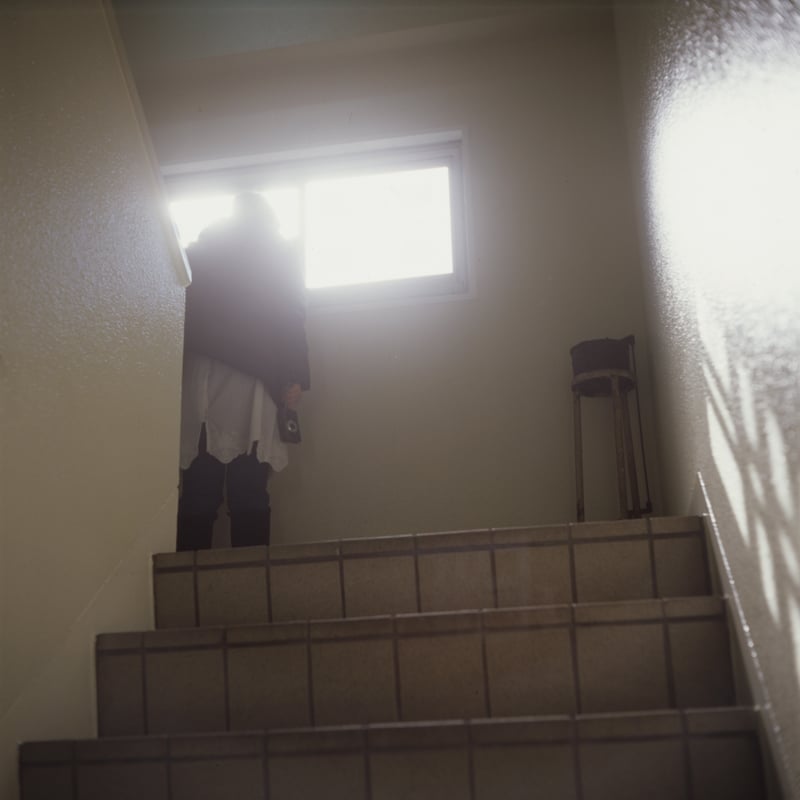 本当に踊ってる人は見たことがない。