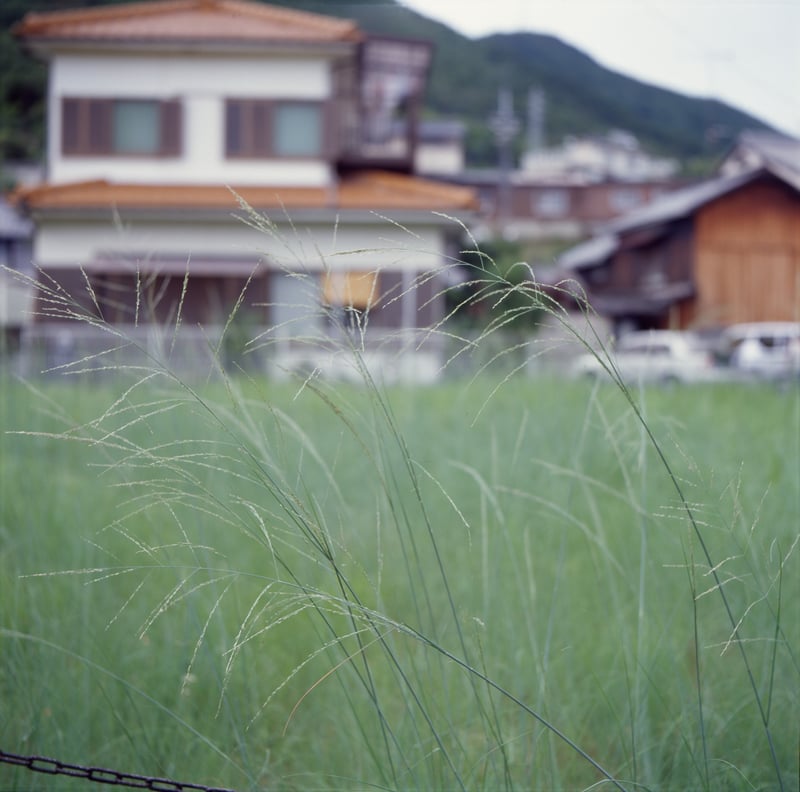 …を躊躇無くブローニーポジで撮れた2009夏。
あの頃に戻りたい。今の収入を持って。(笑)