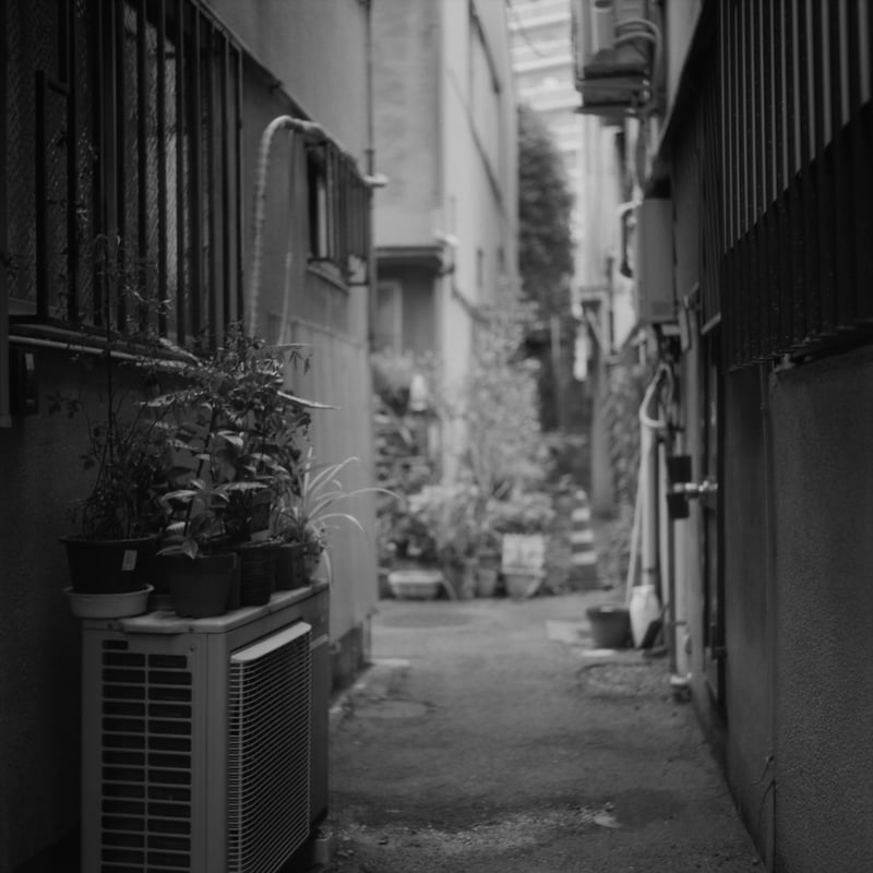 大阪に住んでいた20年前、自宅にいるよりこの町にいる時間の方が長かったんじゃないかと思うぐらい通った町。
先日、大阪に行った時に2時間ぐらい一人でさまよってきた。

変わってしまった部分もあれば変わってない部分もあり、行きつけだったお店も多くは無くなってしまったけどここに根を張って暮らしている友人もいる。

町を眺める目が、故郷を見る時の目なことに気がついてちょっと笑ってしまった。
