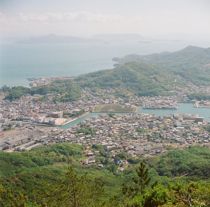 学校の裏山から見下ろす故郷の町。