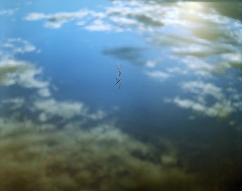 ある写真展に出そうか迷って結局出さなかった写真。
プリントしてみたらなんか違った。
A3ノビにプリントまでしてボツにしたのは初めてのこと。

いつか自分で満足できるプリントが作れたらどこかの写真展に出そうと思います。