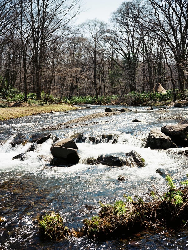 戸隠山の清流